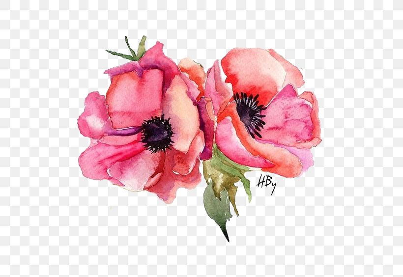 Watercolor Painting Stock Photography Poppy, PNG, 564x564px, Watercolor Painting, Anemone, Art, Canvas, Canvas Print Download Free