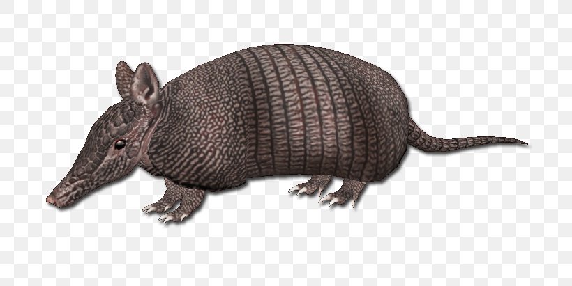 Armadillo Animal Architecture Warm-blooded Building, PNG, 763x411px, Armadillo, Animal, Animal Figure, Architecture, Blood Download Free