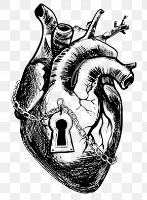 Heart Drawing Anatomy Clip Art, PNG, 546x595px, Heart, Anatomy, Artery ...