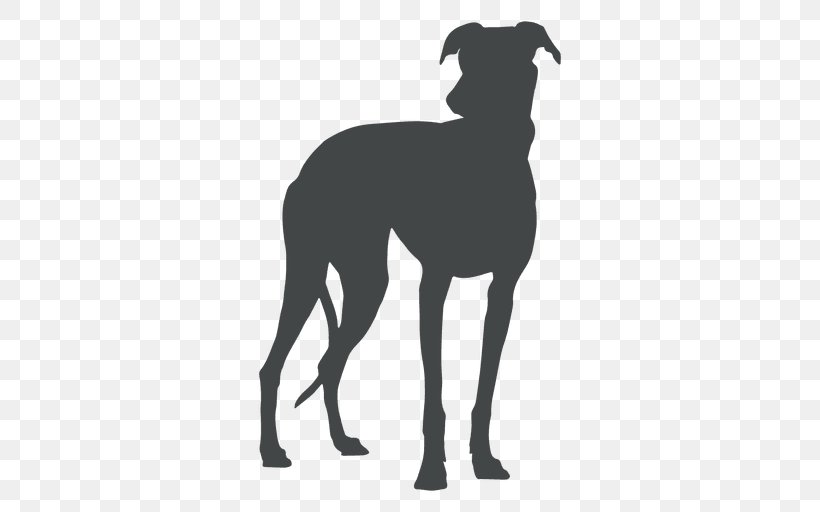 Great Dane Italian Greyhound Spanish Greyhound Sloughi, PNG, 512x512px, Great Dane, Animal, Black, Black And White, Breed Download Free