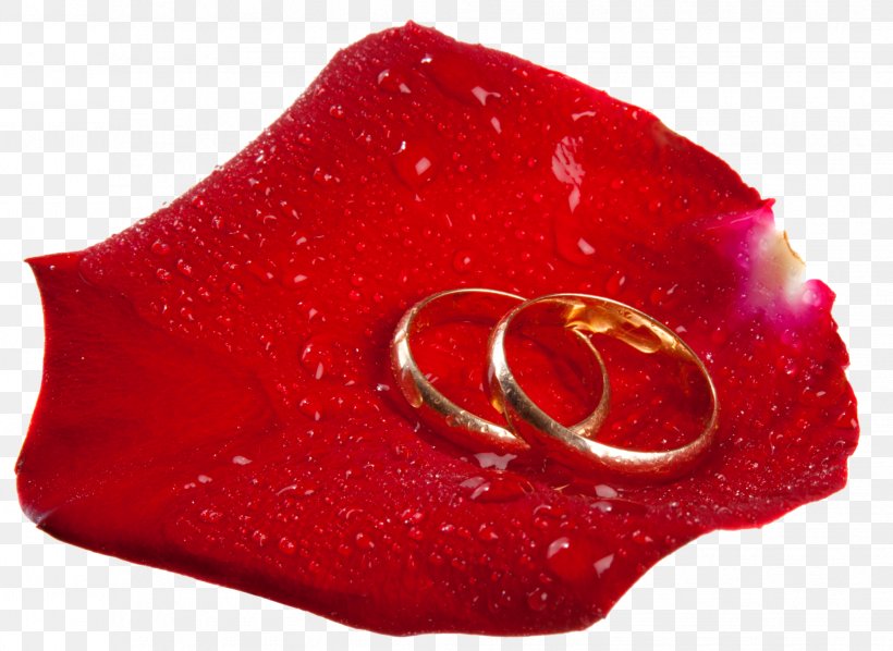 Love Wedding Ring Marriage, PNG, 2063x1505px, Love, Couple, Flower, Home, Magenta Download Free