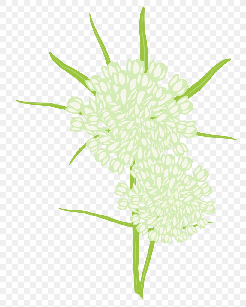 Oxeye Daisy Chrysanthemum Dahlia Cut Flowers Floral Design, PNG, 769x1024px, Oxeye Daisy, Chrysanthemum, Chrysanths, Common Daisy, Cut Flowers Download Free
