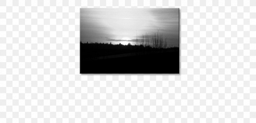 Picture Frames White Rectangle Brand, PNG, 870x421px, Picture Frames, Black, Black And White, Black M, Brand Download Free