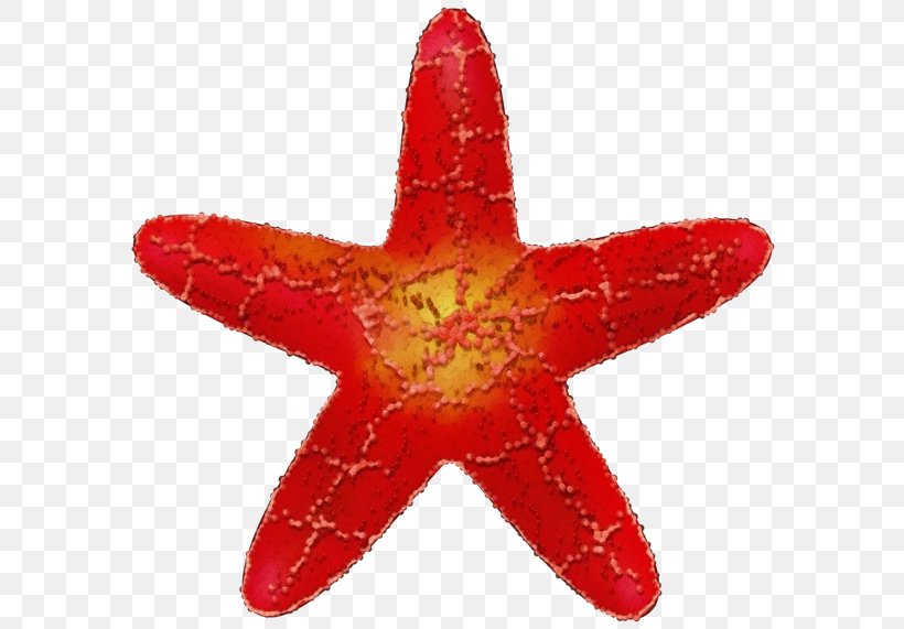 Red Star, PNG, 600x571px, Watercolor, Art, Echinoderm, Fivepointed Star, Marine Invertebrates Download Free
