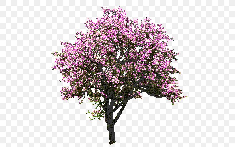 Tree Flower Clip Art, PNG, 500x514px, Tree, Blossom, Branch, Cherry Blossom, Clipping Path Download Free