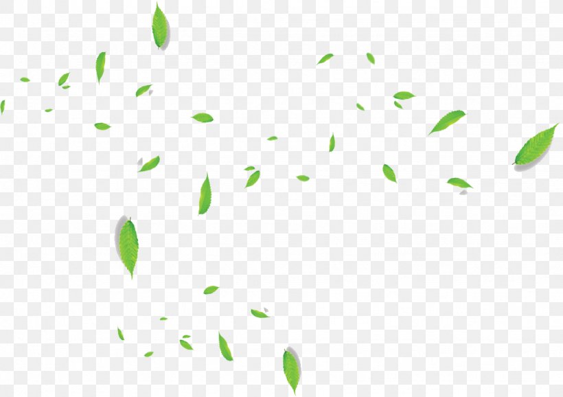 Green Leaf, PNG, 1024x723px, Green, Deciduous, Designer, Floating Material, Google Images Download Free