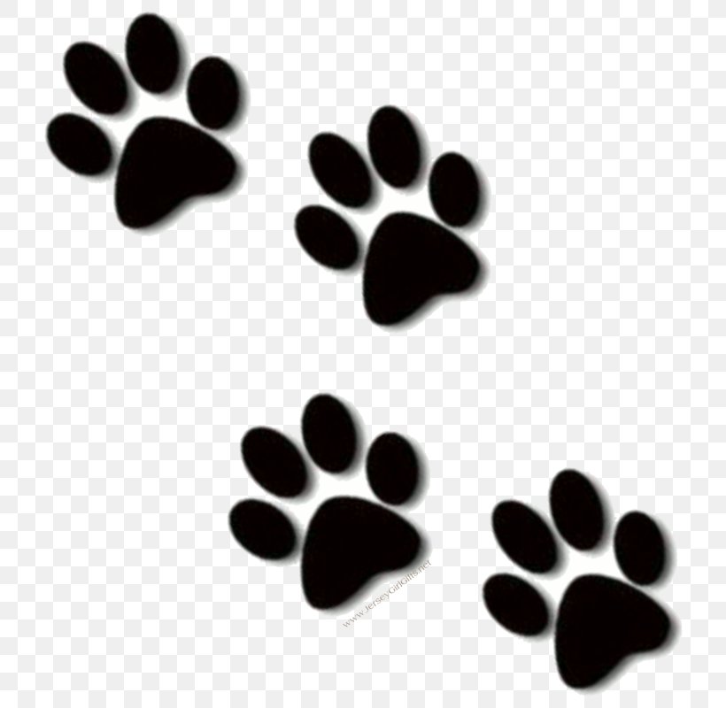 Lion Clip Art Paw Cat Dog, PNG, 733x800px, Lion, Black, Black And White, Cat, Claw Download Free