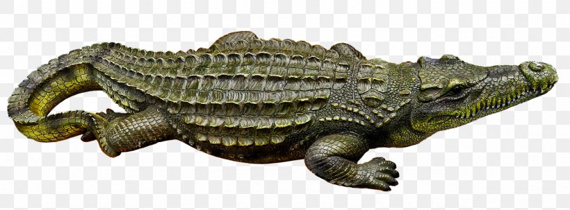Nile Crocodile Animal Gharial Crocodiles, PNG, 1280x473px, Crocodile, Alligator, Alligators, American Alligator, American Crocodile Download Free