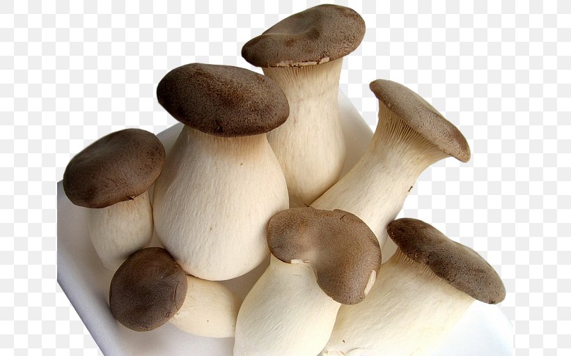 Straw Mushroom Shimeji Organic Food Pho Chicken, PNG, 655x511px, Straw Mushroom, Chicken, Chicken As Food, Cooking, Edible Mushroom Download Free