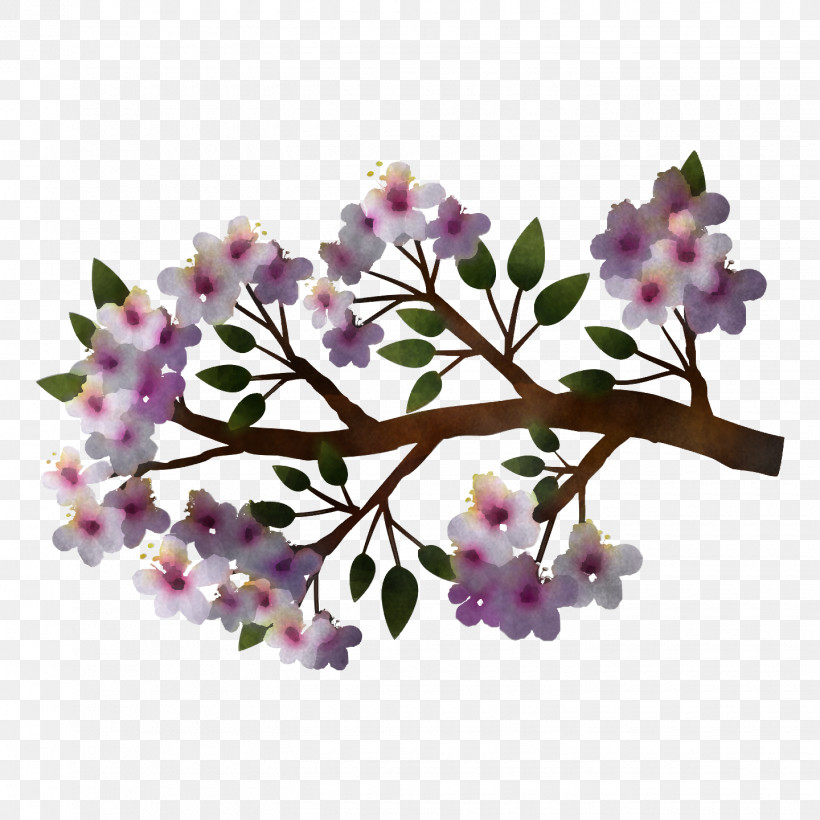 Spring, PNG, 1440x1440px, Spring, Blossom, Branch, Cherry Blossom, Daphne Download Free