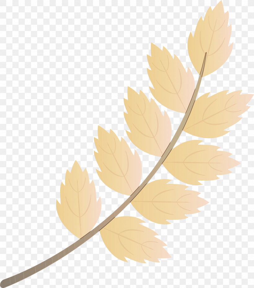 Twig Leaf Plant Stem Petal, PNG, 2644x3000px, Fall Leaf, Autumn, Autumn Leaf, Black, Black And White Download Free