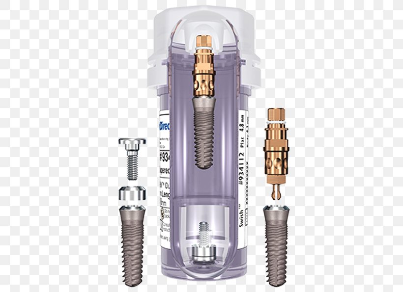 Dental Implant Prosthesis Straumann Dentistry, PNG, 551x595px, Dental Implant, Abutment, Dentistry, Gums, Hardware Download Free