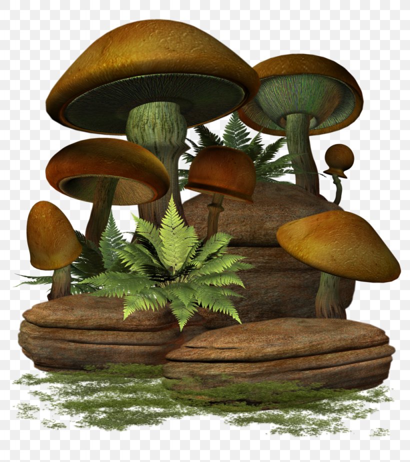 Mushroom Clip Art, PNG, 1024x1155px, 3d Computer Graphics, Mushroom, Flowerpot, Prezi, Quicktime Download Free