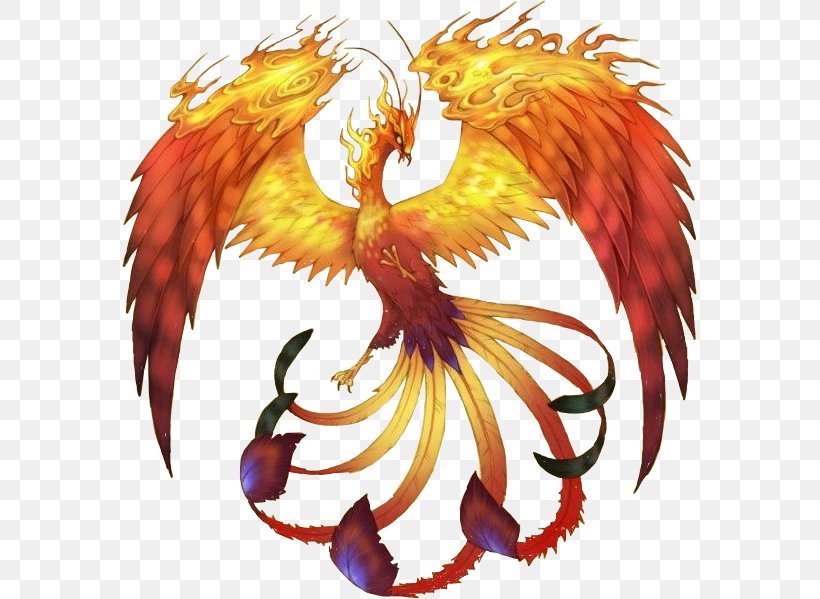 Phoenix Legendary Creature Firebird Folklore, PNG, 575x599px, Phoenix, Art, Dragon, Drawing, Fantasy Download Free