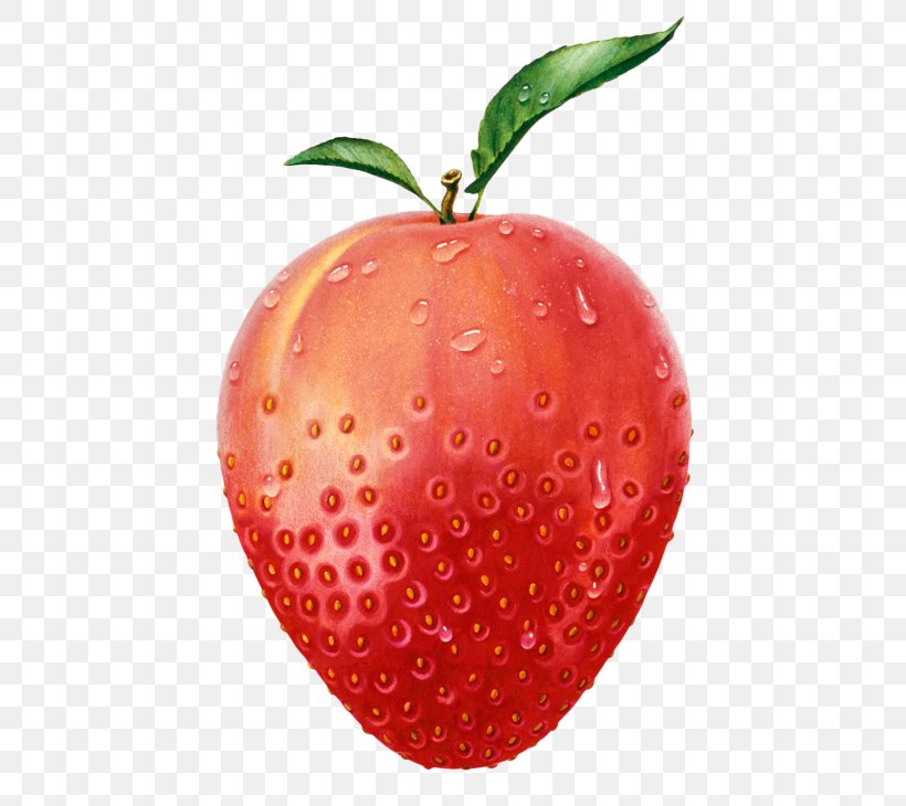 Strawberry Apple Fruit Peach Illustration, PNG, 500x730px, Strawberry, Accessory Fruit, Apple, Diet Food, Food Download Free