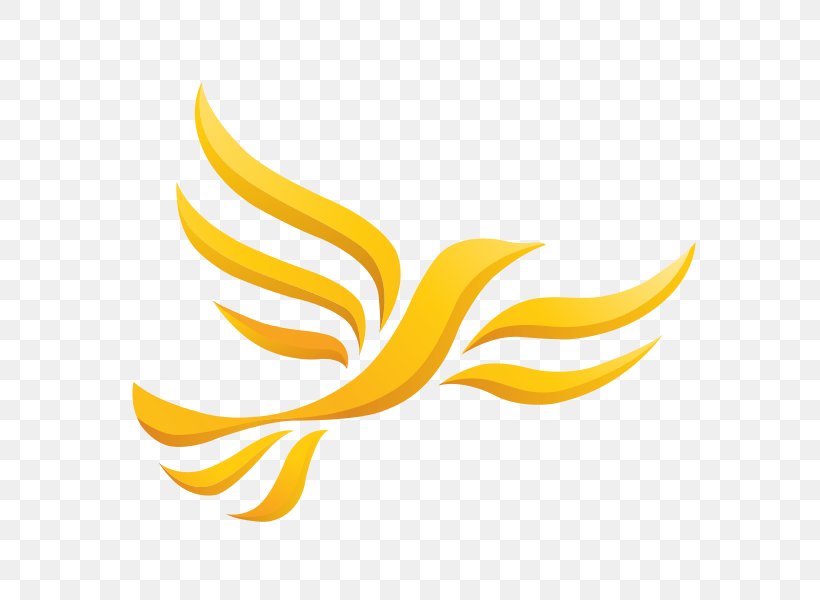 Wales Welsh Liberal Democrats Liberalism Maidstone And The Weald, PNG, 600x600px, Wales, Banana Family, Election, Food, Fruit Download Free