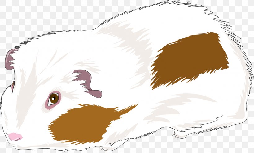 Guinea Pig Mouse Cat Dog Rat, PNG, 1796x1086px, Guinea Pig, Animal, Canidae, Carnivoran, Cat Download Free