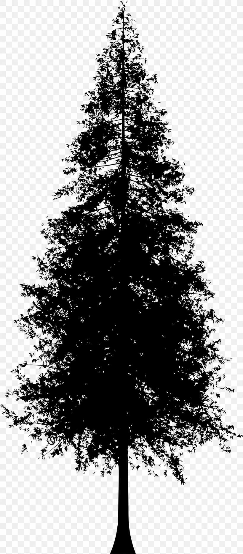 Redwoods Silhouette Coast Redwood Clip Art, PNG, 1010x2296px, Redwoods, Black And White, Branch, Christmas Decoration, Christmas Ornament Download Free