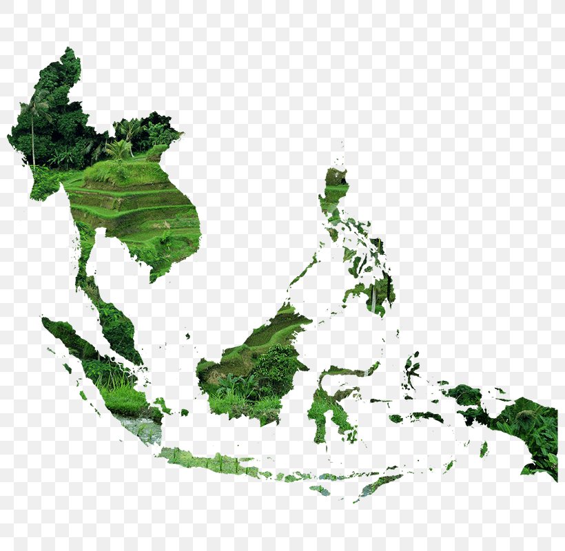 Association Of Southeast Asian Nations United States World Map, PNG, 800x800px, Southeast Asia, Asean Economic Community, Branch, Geography, Green Download Free