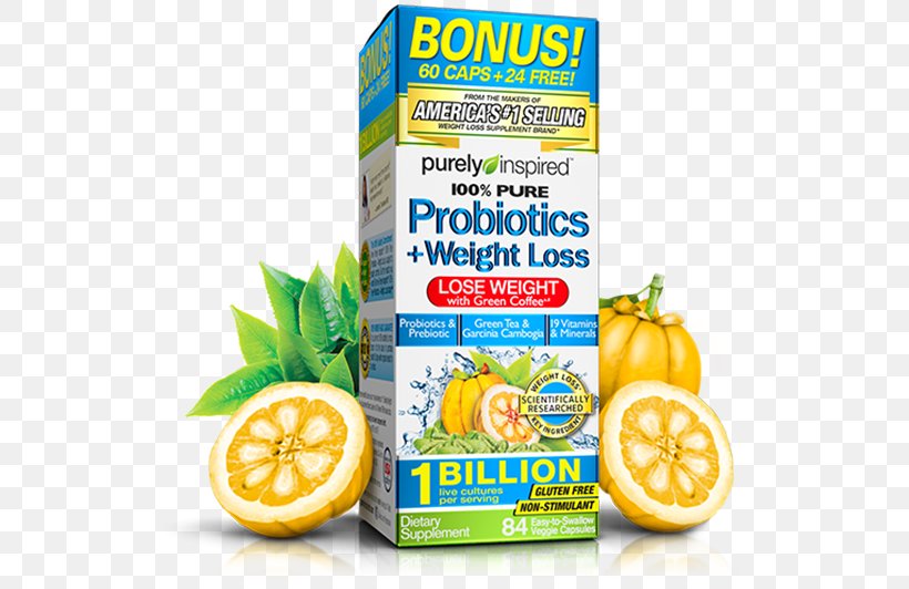 Dietary Supplement Weight Loss Probiotic Garcinia Gummi-gutta Health, PNG, 524x532px, Dietary Supplement, Bacteria, Citric Acid, Citrus, Diet Download Free