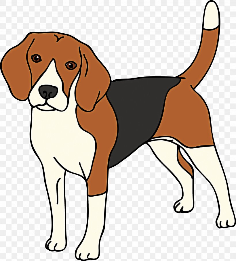 Dog Dog Breed Beagle-harrier English Foxhound Harrier, PNG, 2709x3000px, Dog, American Foxhound, Beagleharrier, Dog Breed, English Foxhound Download Free