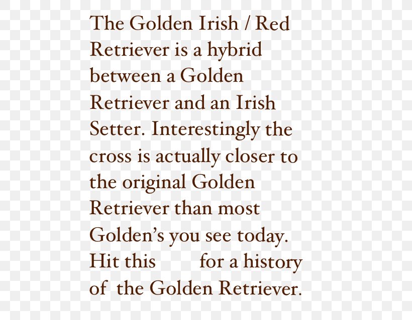 Golden Retriever Irish Setter Puppy, PNG, 502x638px, Golden Retriever, American Kennel Club, Area, Female, Hip Download Free