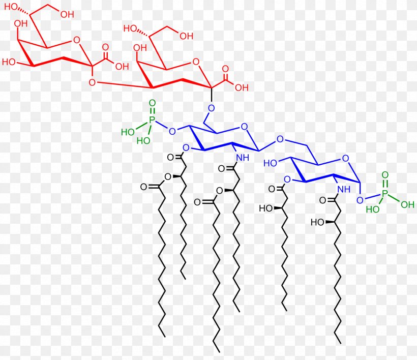 Saccharolipid Endotoxin Cerebroside Lipid A, PNG, 1667x1440px, Lipid, Area, Cerebroside, Classification Des Lipides, Diagram Download Free
