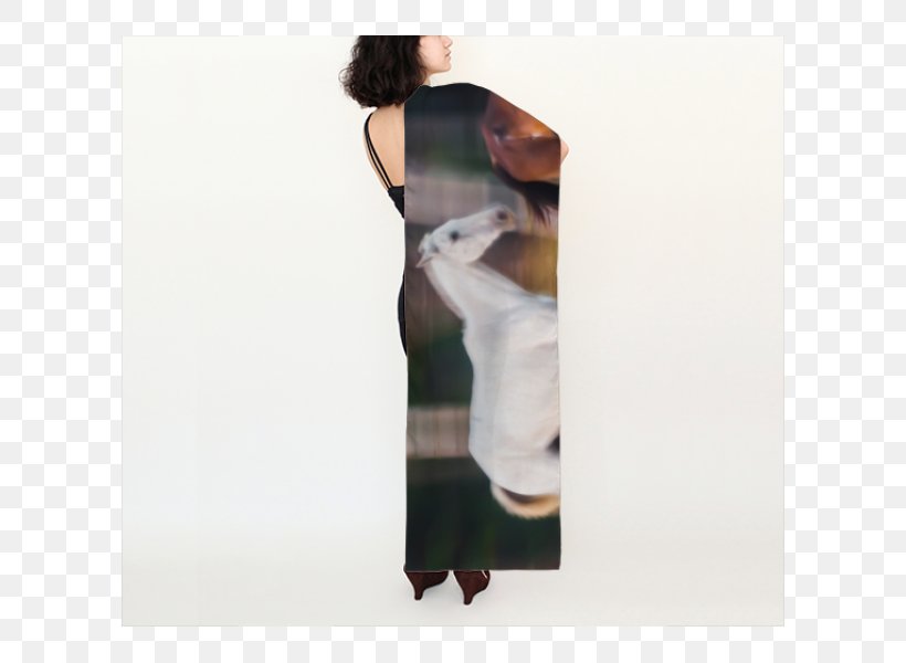 Scarf Shawl Chiffon T-shirt Silk, PNG, 600x600px, Scarf, Arm, Chiffon, Clothing, Dress Download Free