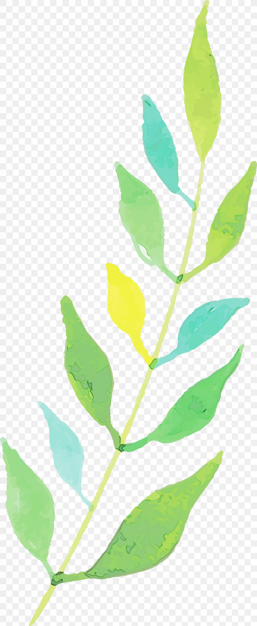 Twig Plant Stem Leaf Flower Plants, PNG, 1234x3000px, Watercolor Autumn, Biology, Flower, Leaf, Paint Download Free