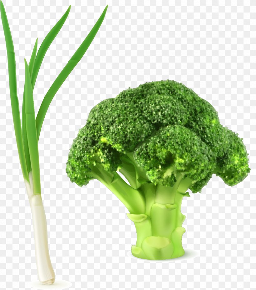 Broccoli Slaw Vegetable Clip Art, PNG, 1187x1343px, Broccoli, Broccoli Slaw, Cabbage, Flowerpot, Grass Download Free