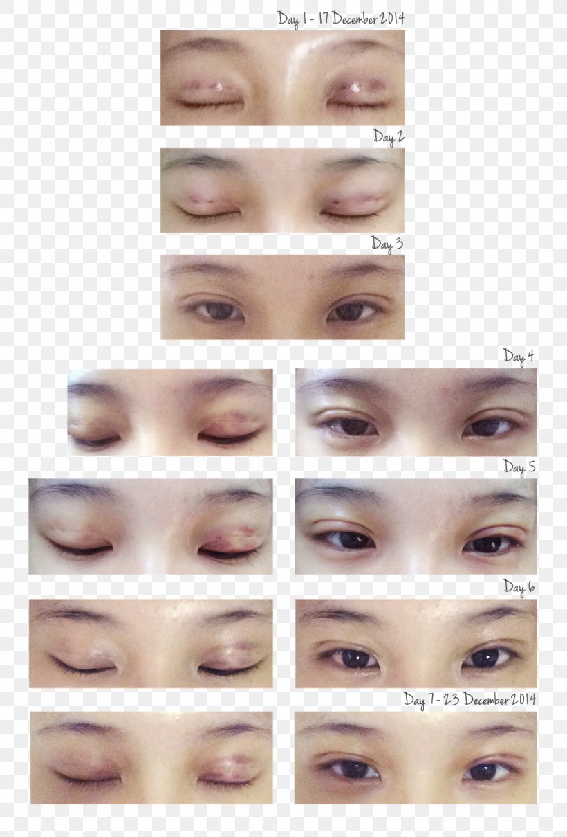Eyelash Extensions Eye Shadow Eye Liner Hair Coloring Lip Liner, PNG, 1085x1600px, Eyelash Extensions, Artificial Hair Integrations, Brown, Cheek, Chin Download Free