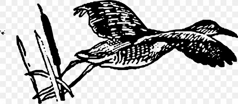 Line Art Drawing Bird, PNG, 2299x1007px, Line Art, Art, Beak, Bird, Bird Flight Download Free