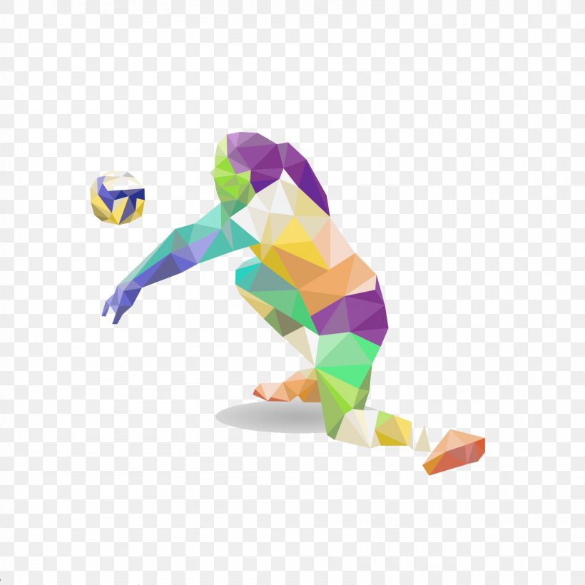 Volleyball Sport Athlete Basketball, PNG, 1667x1667px, Volleyball, Athlete, Basketball, Football, Judo Download Free