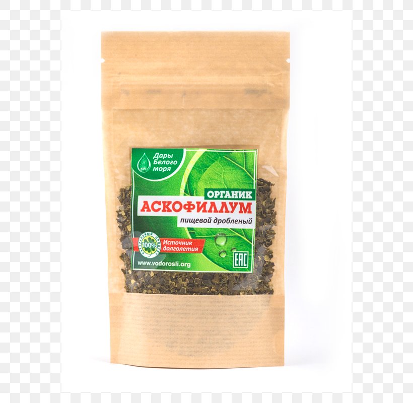 Ascophyllum Nodosum Bladder Wrack Algae Flavor Food Industry, PNG, 800x800px, Ascophyllum Nodosum, Algae, Ascophyllum, Bladder Wrack, Dystrophy Download Free