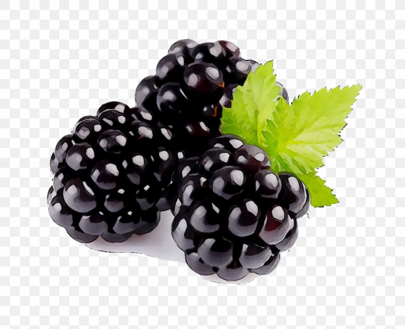 Bavarian Cream Fragrance Oil Flavor Blackberry Boysenberry, PNG, 1139x927px, Bavarian Cream, Accessory Fruit, Berries, Berry, Blackberry Download Free