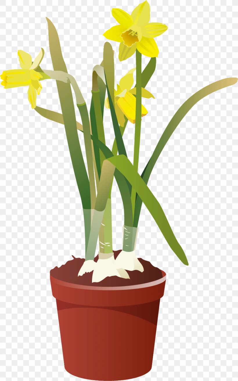 Garden Clip Art, PNG, 890x1425px, Garden, Cattleya, Cattleya Orchids, Cut Flowers, Daffodil Download Free