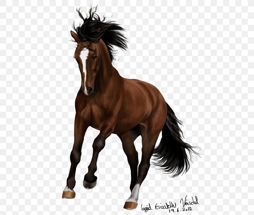 Mane Mare Pony Mustang Coldblood Trotters, PNG, 492x692px, Mane, Belgian Horse, Bridle, Colt, Draft Horse Download Free