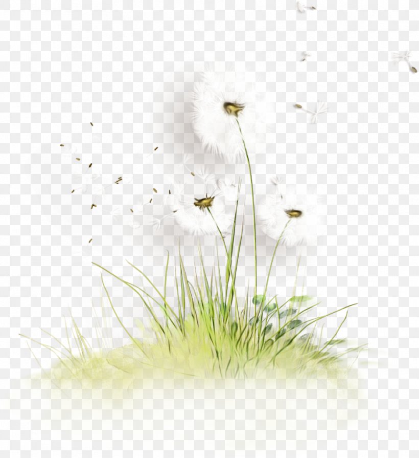 Watercolor Flower Background, PNG, 938x1024px, Watercolor, Closeup, Computer, Dandelion, Flower Download Free