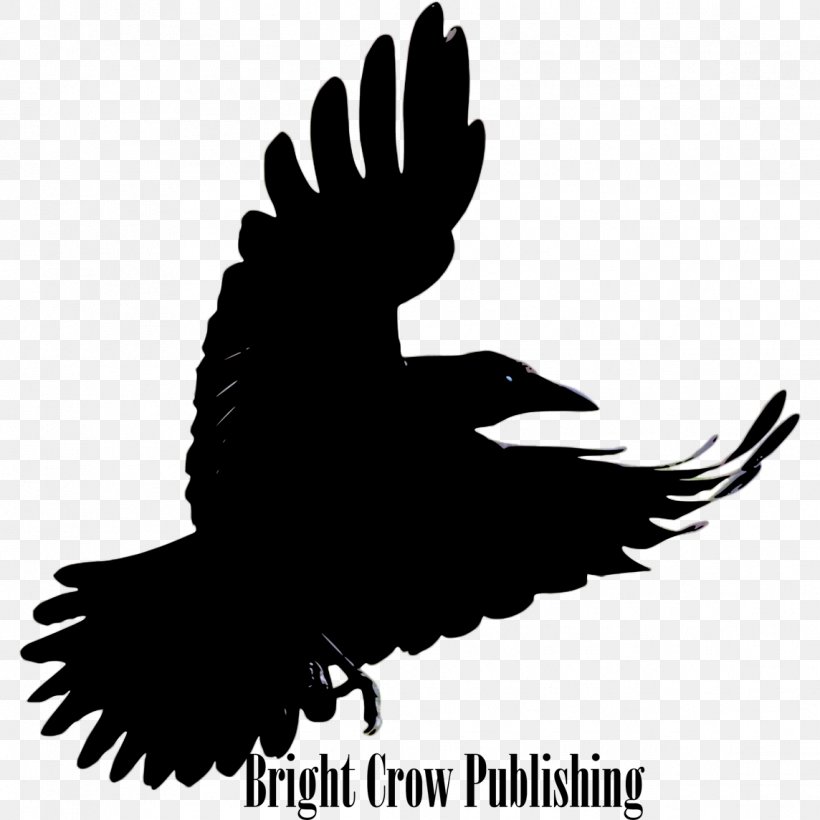 American Crow Bird Hooded Crow Common Raven, PNG, 1144x1144px, American Crow, Beak, Bird, Brand, Carrion Crow Download Free
