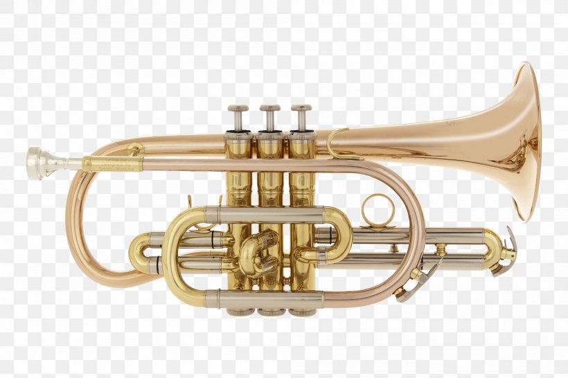 Cornet Trumpet Flugelhorn Saxhorn Mellophone, PNG, 2000x1333px, Watercolor, Cartoon, Flower, Frame, Heart Download Free
