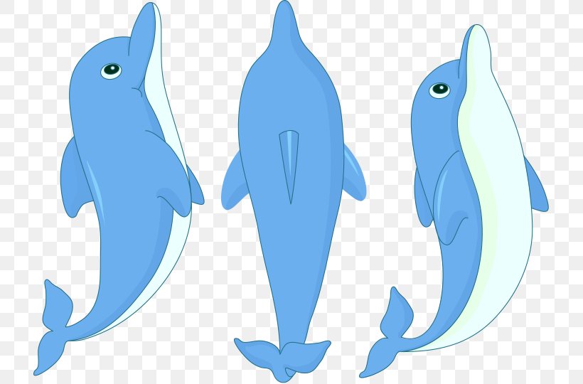 Dolphin Cartoon Clip Art, PNG, 725x540px, Dolphin, Beak, Cartoon, Fish, Mammal Download Free
