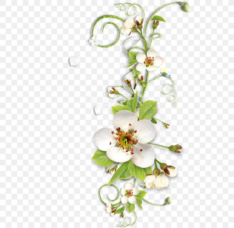 Flower Software Clip Art, PNG, 520x800px, Flower, Artificial Flower, Blossom, Branch, Cut Flowers Download Free