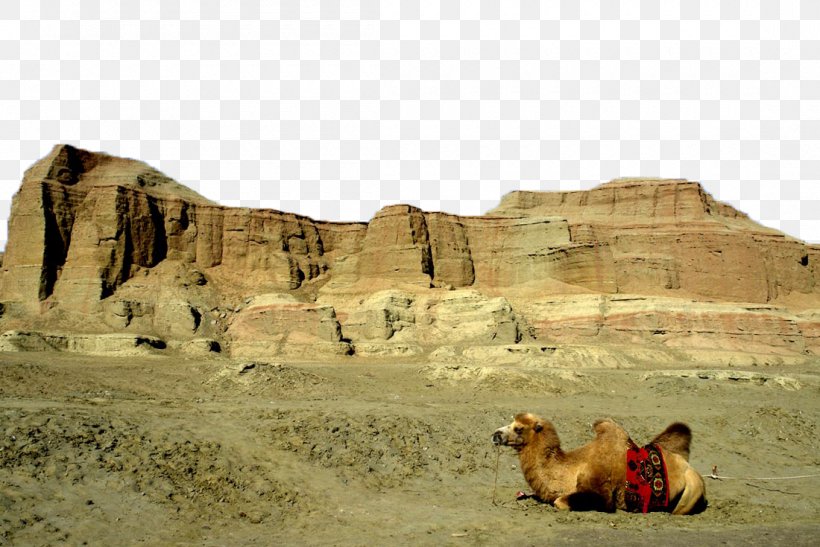Tianshan District Altay Prefecture Ghost City China National Highway 216 Karamay, PNG, 1100x735px, Tianshan District, Aeolian Landform, Altay Prefecture, Arabian Camel, Badlands Download Free