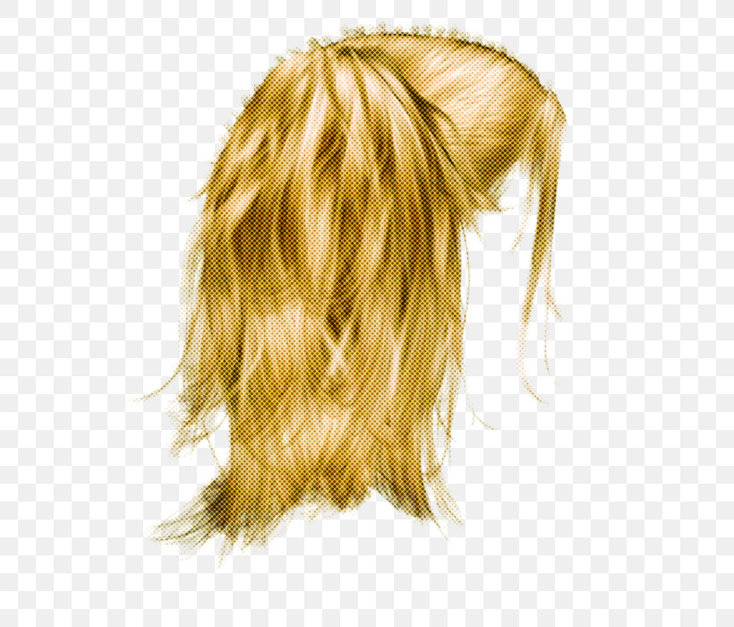 Hair Blond Hairstyle Wig Long Hair, PNG, 800x700px, Hair, Blond, Costume, Hair Coloring, Hairstyle Download Free