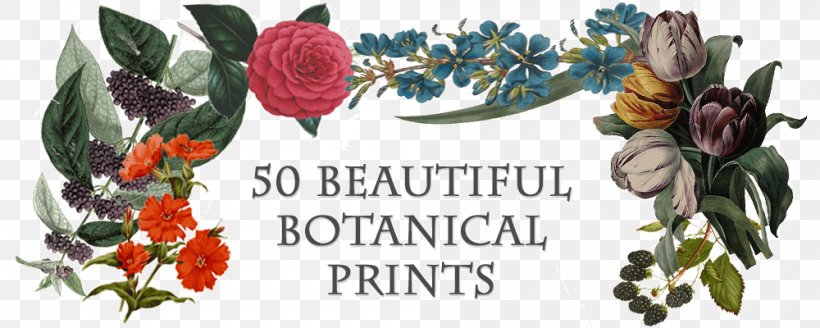 Kew Gardens Lithography Printing Flora, PNG, 1000x400px, Kew Gardens, Botany, Cut Flowers, Flora, Floral Design Download Free