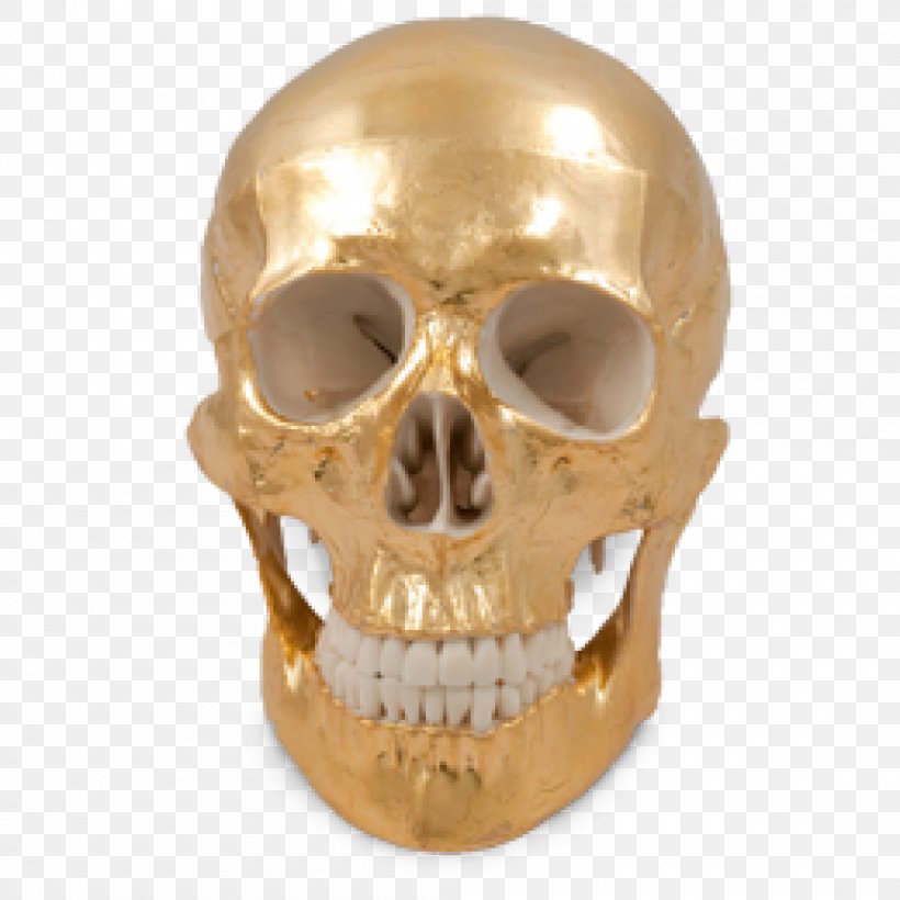 Skull, PNG, 1000x1000px, Skull, Bone, Jaw Download Free