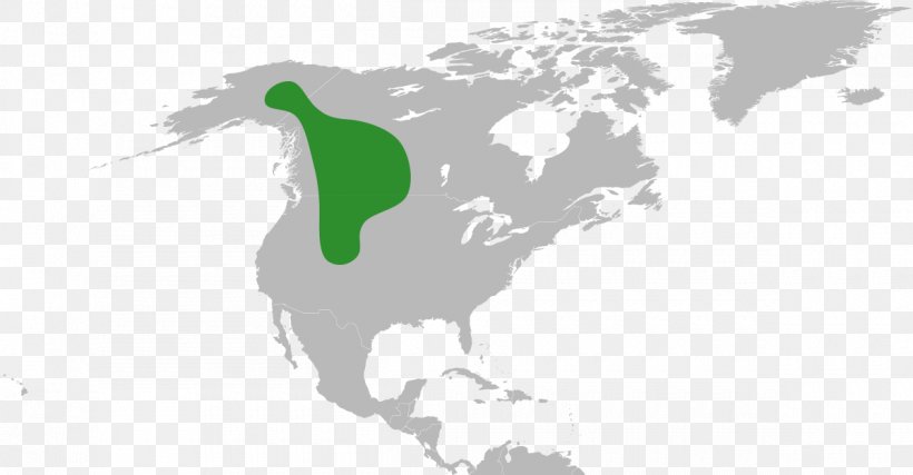 United States Map, PNG, 1200x626px, United States, Americas, Grass, Horse Like Mammal, Map Download Free