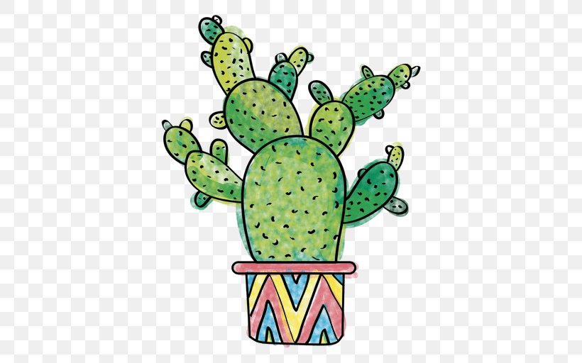 Cactaceae Drawing Succulent Plant San Pedro Cactus, PNG, 512x512px, Cactaceae, Amphibian, Astrophytum Asterias, Cactus, Caryophyllales Download Free