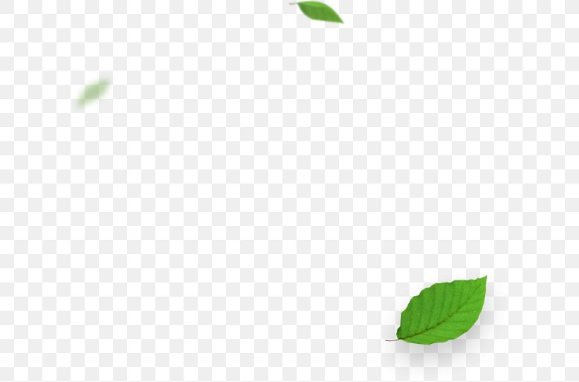 Green Desktop Wallpaper Leaf, PNG, 624x541px, Green, Branch, Closeup, Computer, Grass Download Free