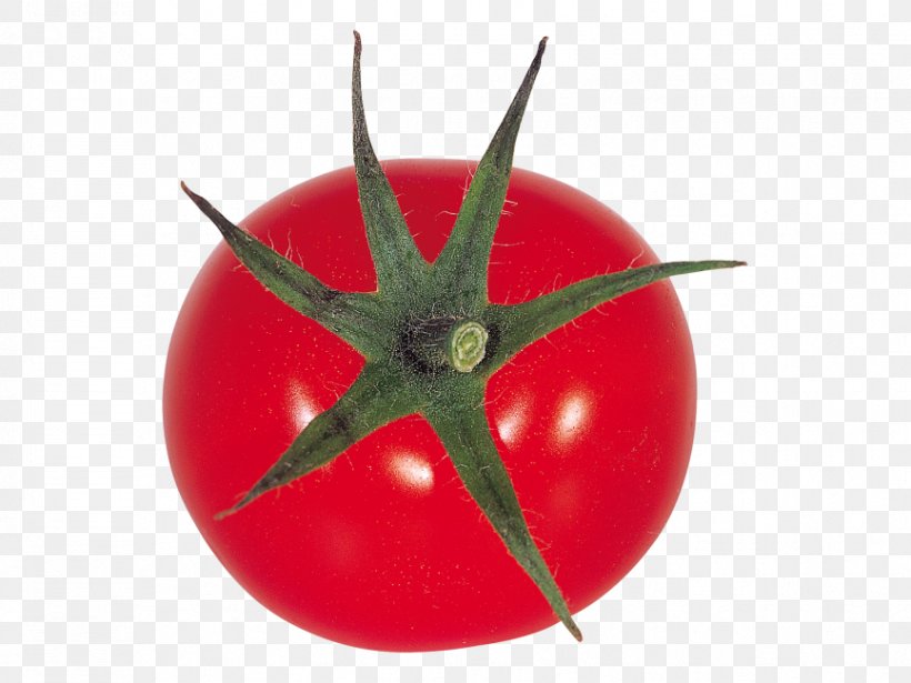 Plum Tomato Tomato Juice Grape Tomato Fruit Vegetable, PNG, 866x650px, Plum Tomato, Berries, Bush Tomato, Cherry, Cherry Tomato Download Free